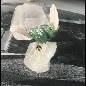 Darling PARROT 🦜 SITTING ON A CRYSTAL PERCH!🔮